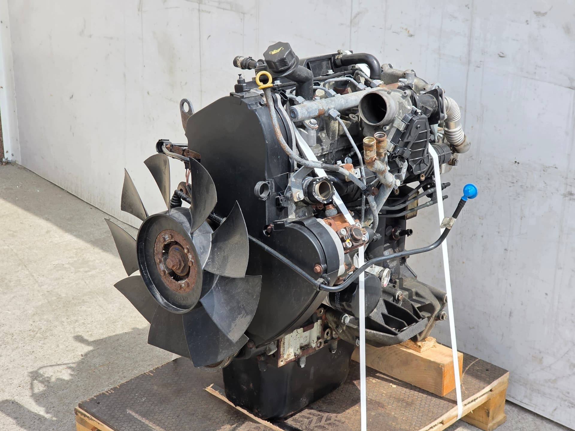 Moteur F1AE3481C pour Iveco