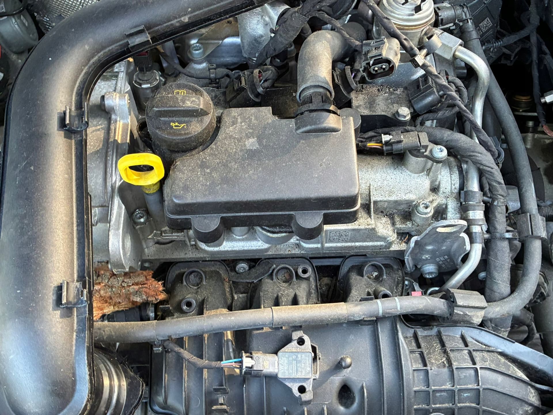 Moteur DLAB pour Seat