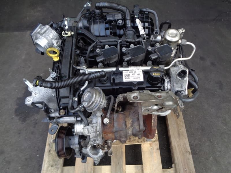 Moteur M1DD pour Ford B-max