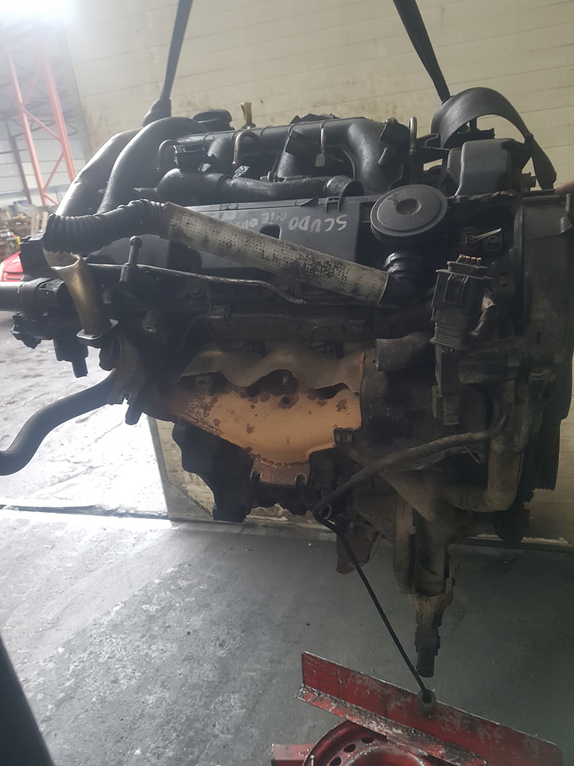 Moteur D8B pour Fiat Scudo