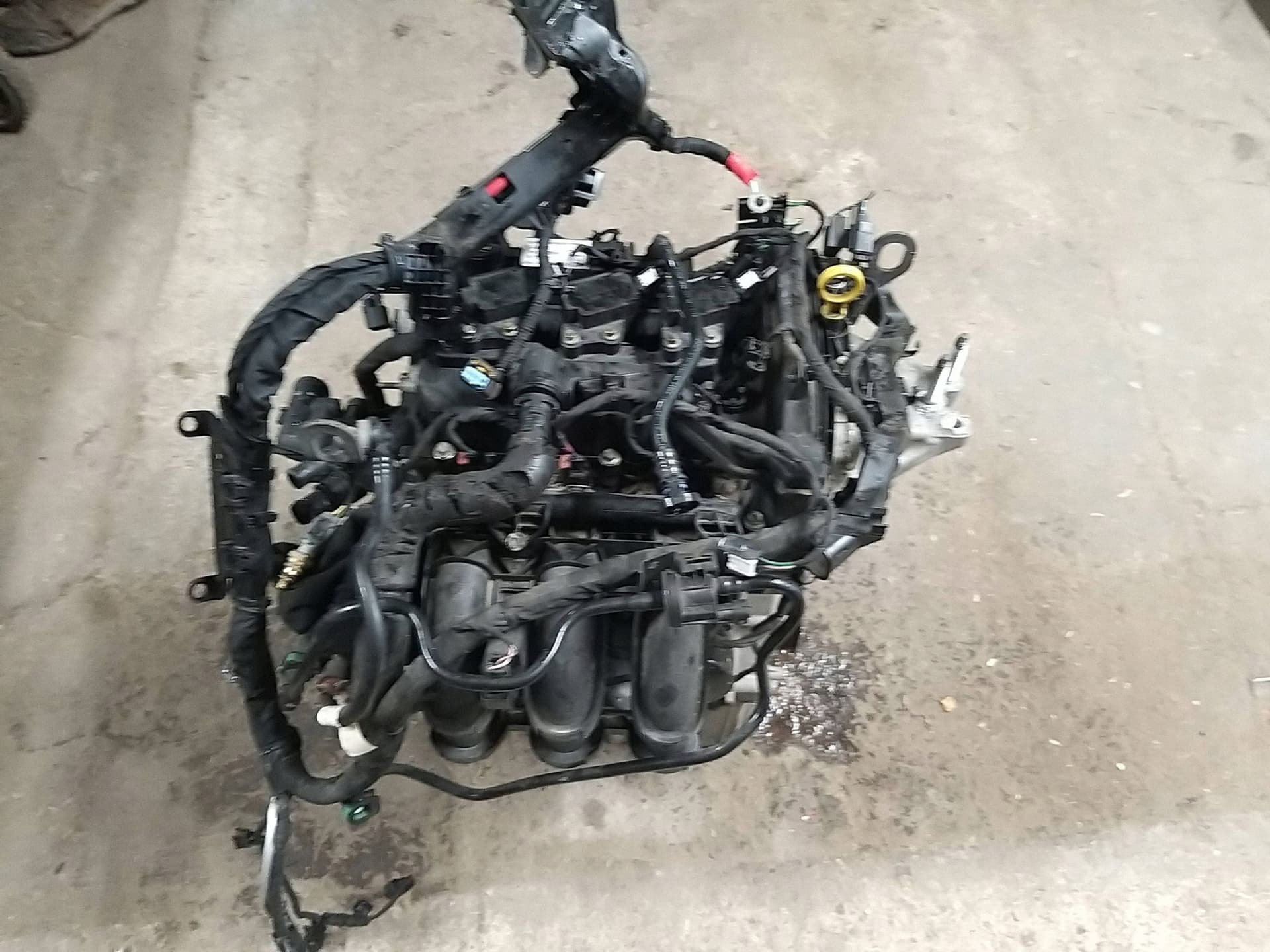Moteur XYJC pour Ford Fiesta