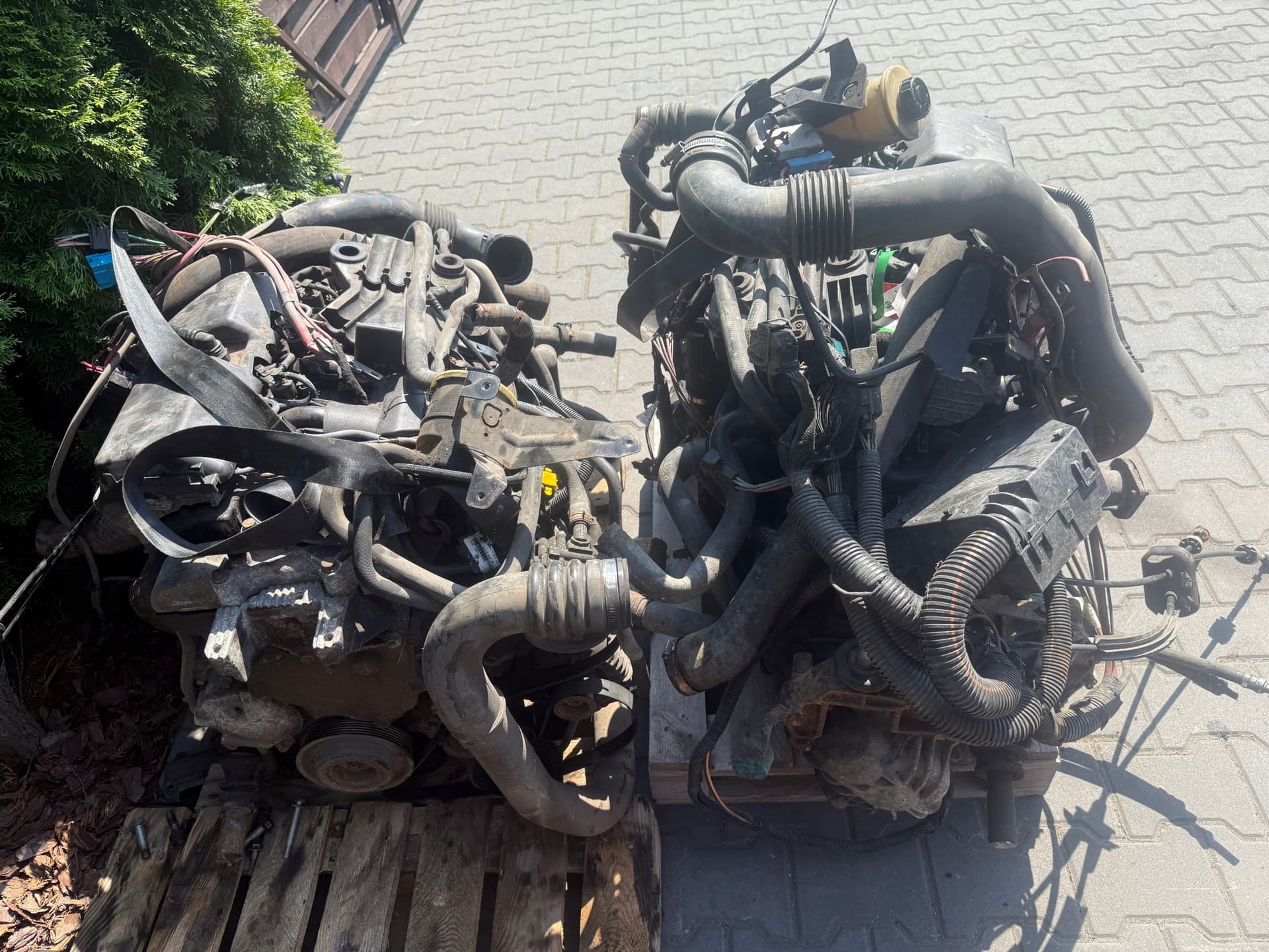 Moteur G9U 650 pour Nissan