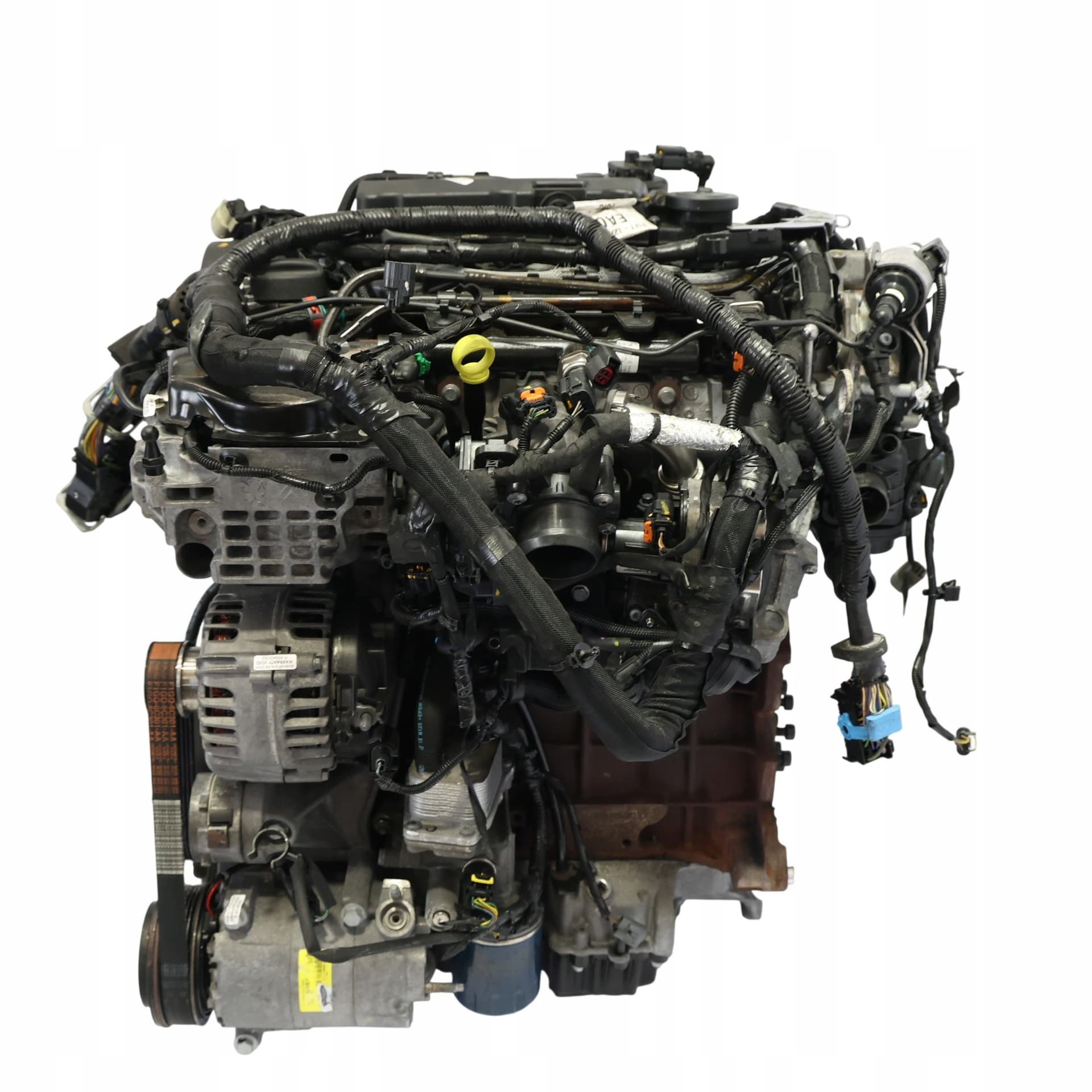 Moteur T8DA pour Ford Focus 2.0 Diesel