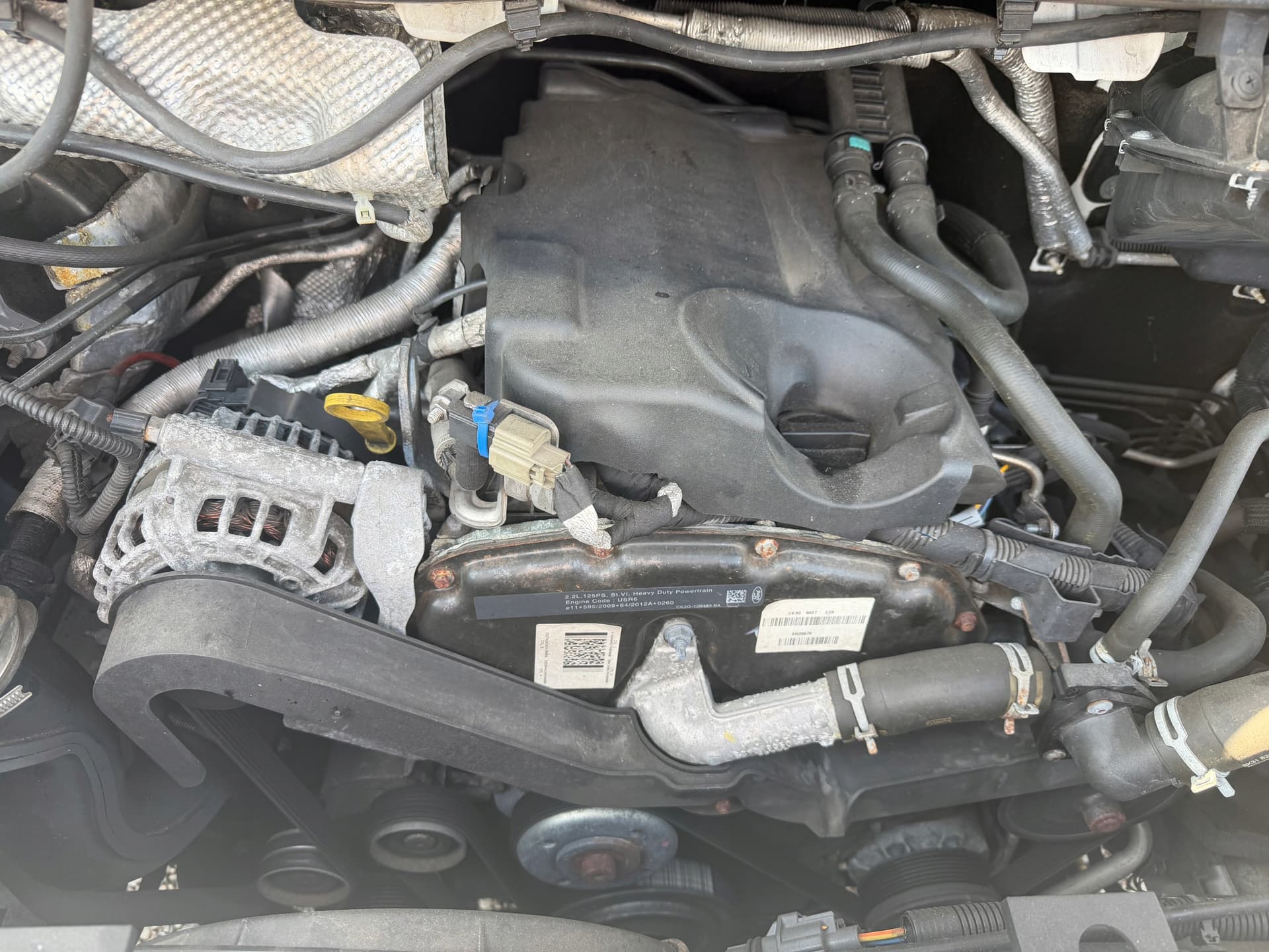 Moteur USR6 pour Ford Transit