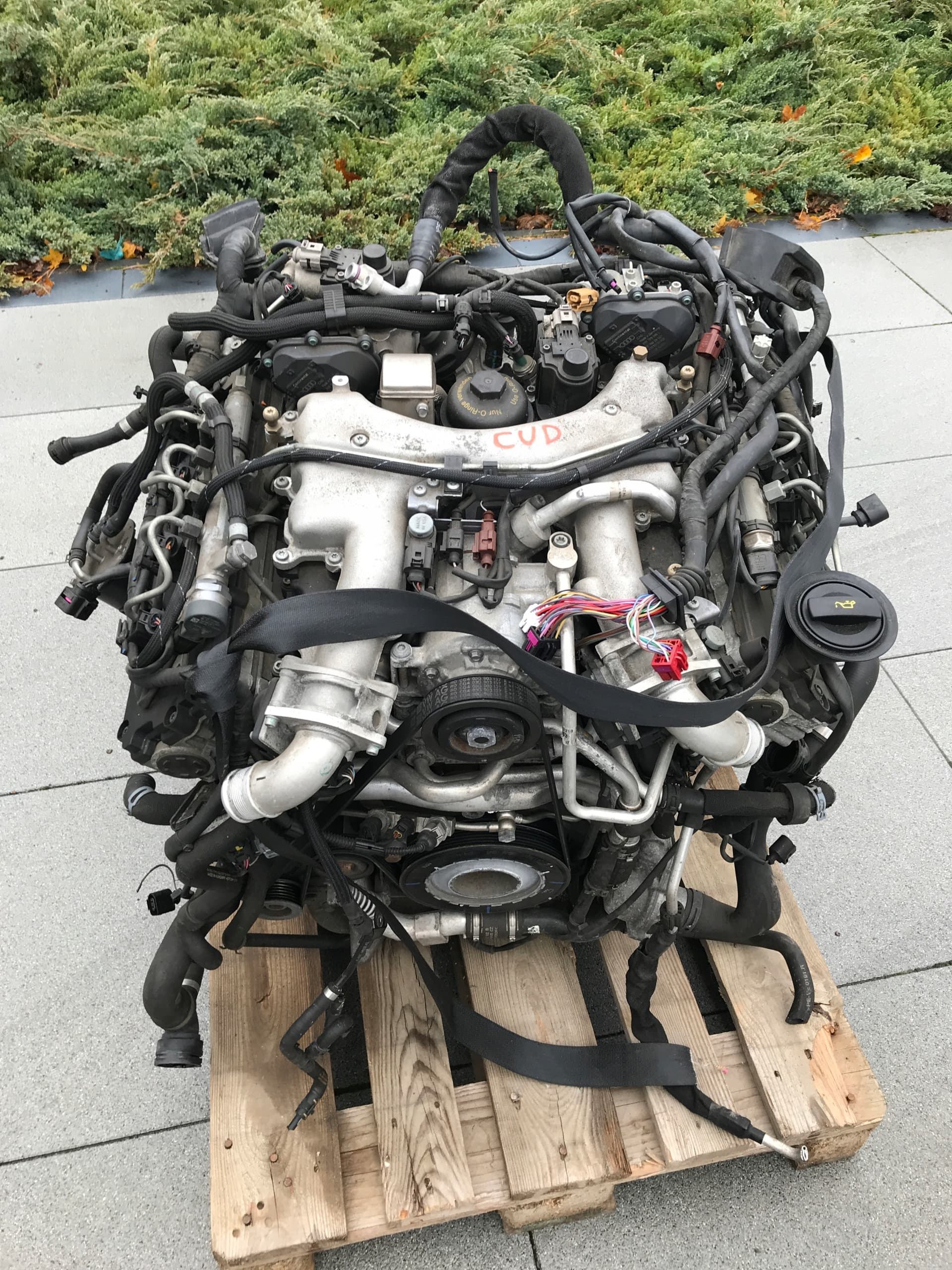 Moteur DCBF pour Bentley