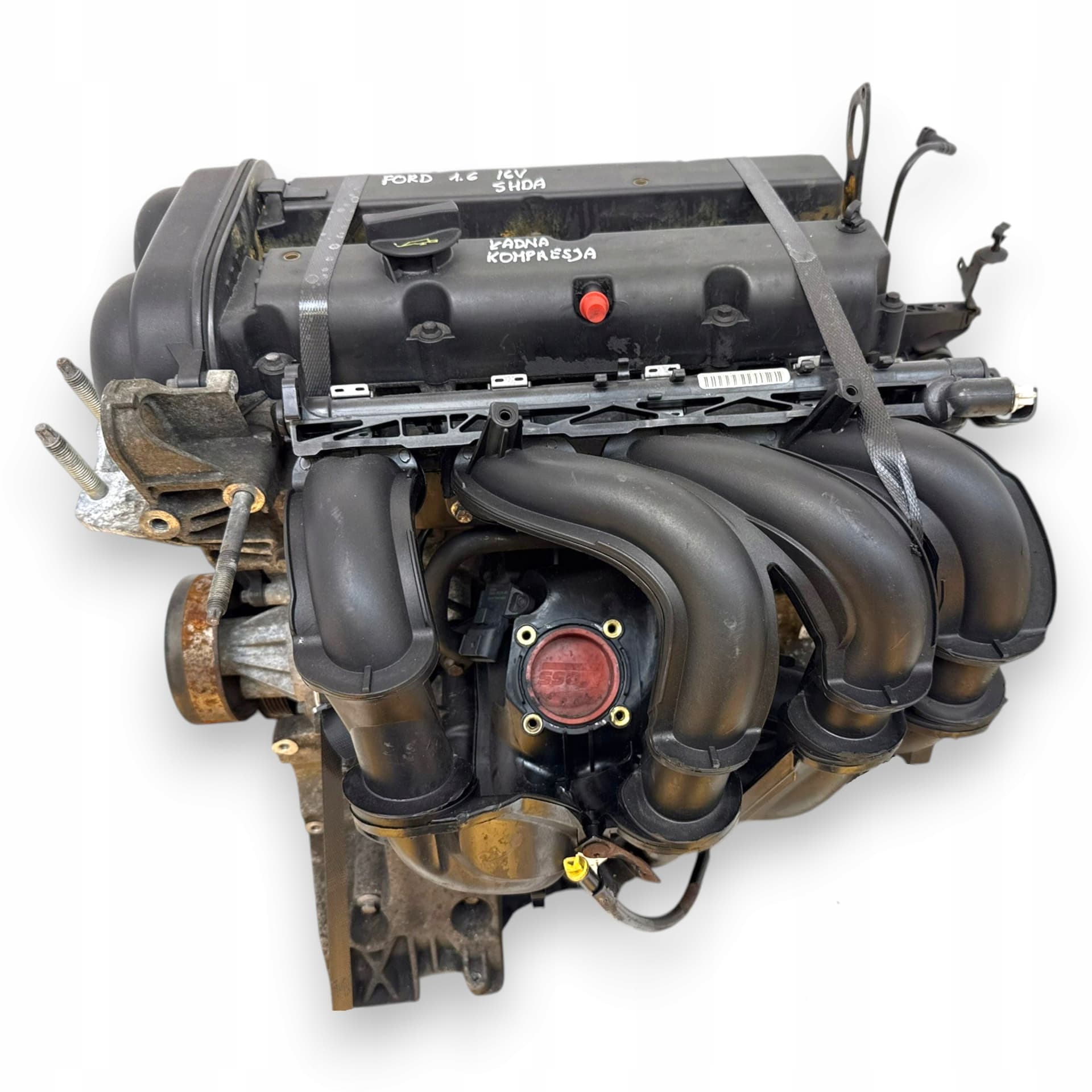 Moteur SHDB pour Ford Focus