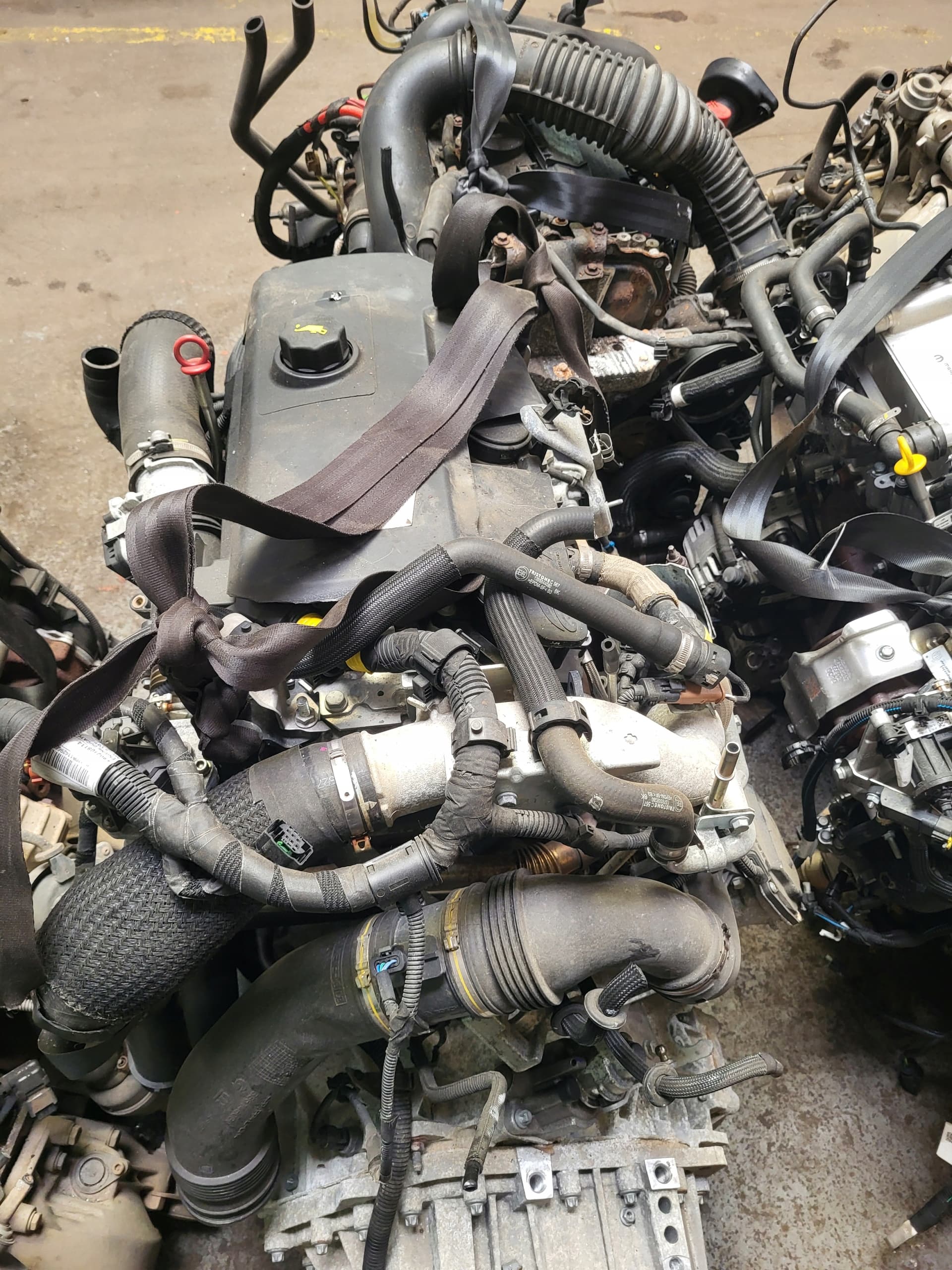 Moteur F1AGL411C pour Iveco